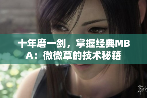 十年磨一剑，掌握经典MBA：微微草的技术秘籍