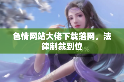 色情网站大佬下载落网，法律制裁到位