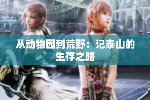 从动物园到荒野：记泰山的生存之路