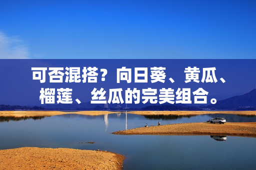 可否混搭？向日葵、黄瓜、榴莲、丝瓜的完美组合。