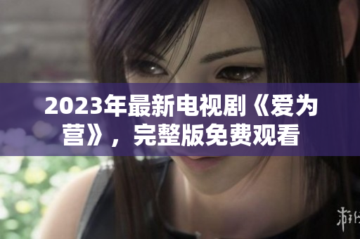 2023年最新电视剧《爱为营》，完整版免费观看