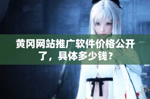 黄冈网站推广软件价格公开了，具体多少钱？