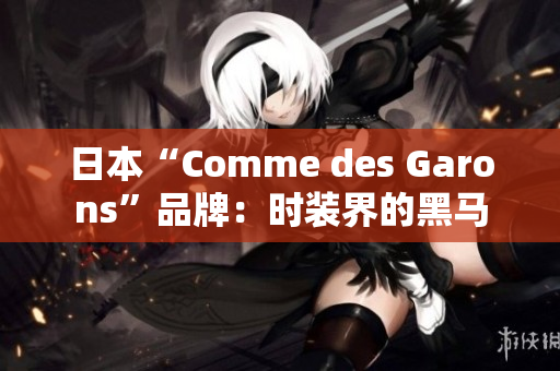 日本“Comme des Garons”品牌：时装界的黑马