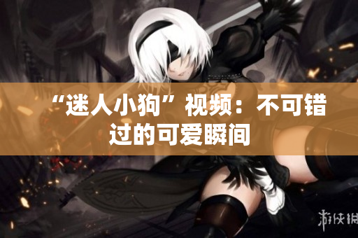“迷人小狗”视频：不可错过的可爱瞬间