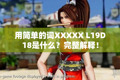 用简单的词XXXXX L19D18是什么？完整解释！