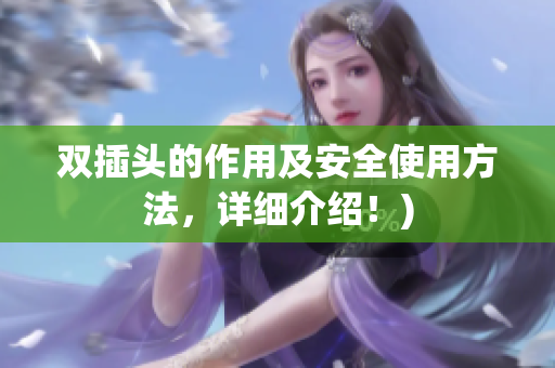 双插头的作用及安全使用方法，详细介绍！)