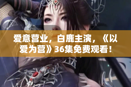 爱意营业，白鹿主演，《以爱为营》36集免费观看！