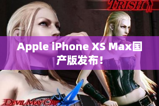 Apple iPhone XS Max国产版发布！