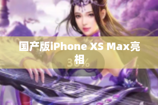 国产版iPhone XS Max亮相