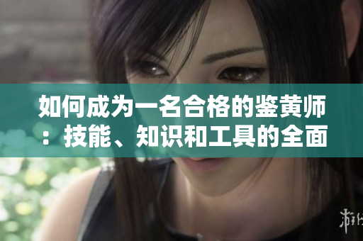 如何成为一名合格的鉴黄师：技能、知识和工具的全面分析