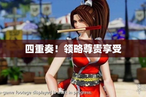 四重奏！领略尊贵享受