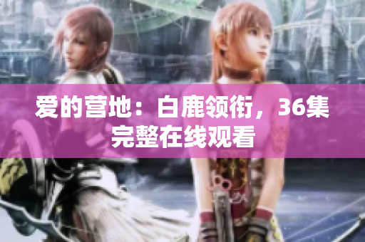 爱的营地：白鹿领衔，36集完整在线观看