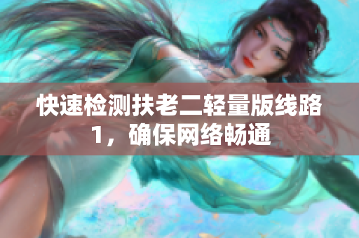 快速检测扶老二轻量版线路1，确保网络畅通