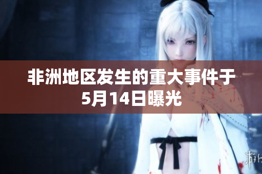 非洲地区发生的重大事件于5月14日曝光