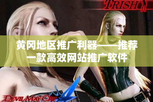 黄冈地区推广利器——推荐一款高效网站推广软件