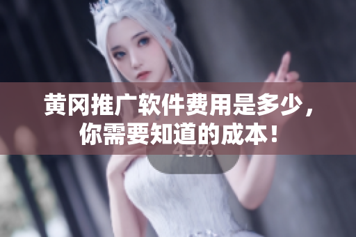 黄冈推广软件费用是多少，你需要知道的成本！