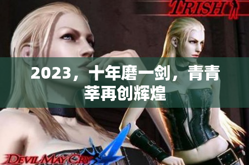 2023，十年磨一剑，青青莘再创辉煌