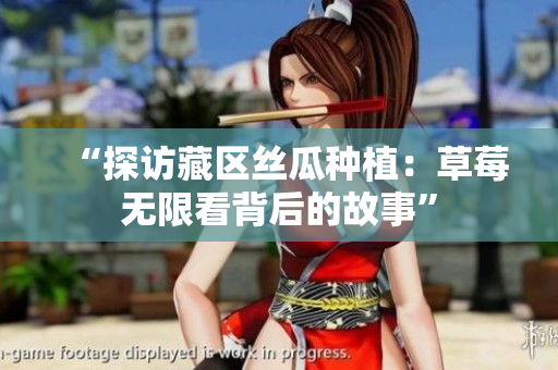 “探访藏区丝瓜种植：草莓无限看背后的故事”