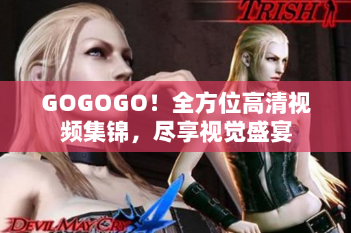GOGOGO！全方位高清视频集锦，尽享视觉盛宴