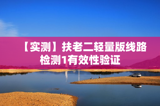 【实测】扶老二轻量版线路检测1有效性验证