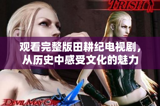 观看完整版田耕纪电视剧，从历史中感受文化的魅力