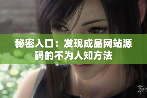 秘密入口：发现成品网站源码的不为人知方法