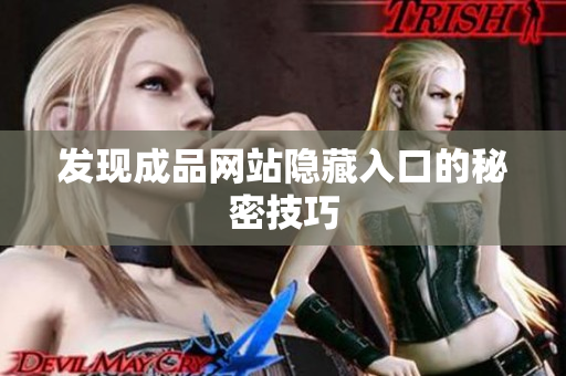 发现成品网站隐藏入口的秘密技巧