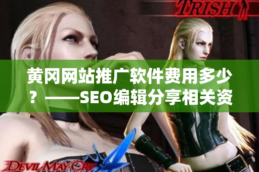 黄冈网站推广软件费用多少？——SEO编辑分享相关资讯