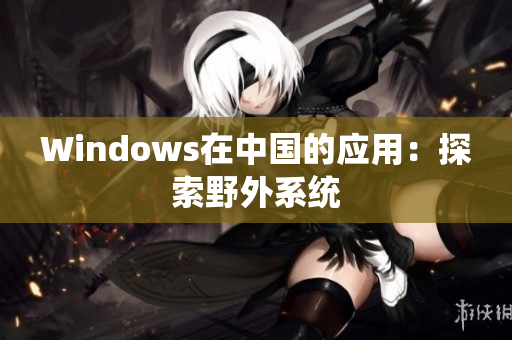 Windows在中国的应用：探索野外系统