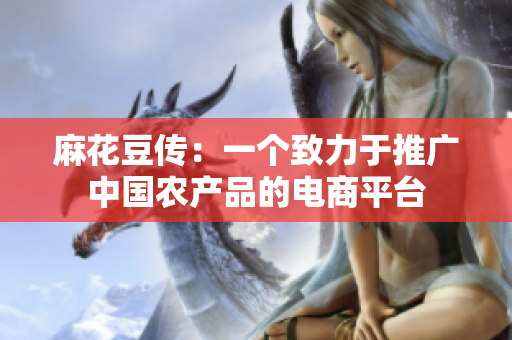 麻花豆传：一个致力于推广中国农产品的电商平台