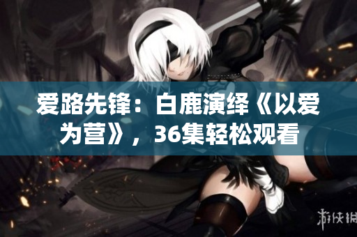 爱路先锋：白鹿演绎《以爱为营》，36集轻松观看