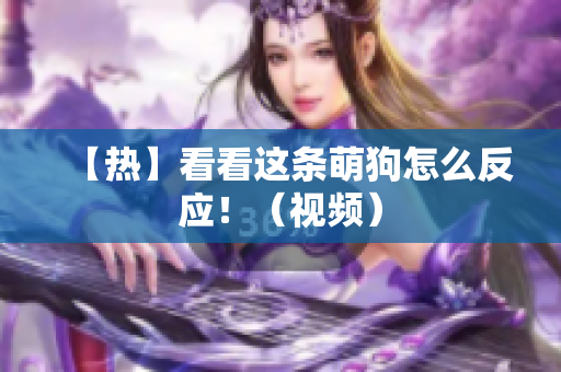 【热】看看这条萌狗怎么反应！（视频）