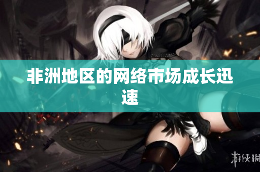 非洲地区的网络市场成长迅速
