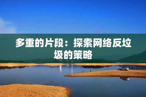 多重的片段：探索网络反垃圾的策略