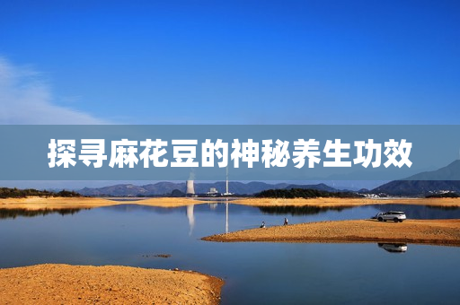 探寻麻花豆的神秘养生功效