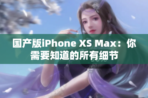 国产版iPhone XS Max：你需要知道的所有细节