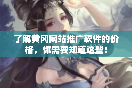 了解黄冈网站推广软件的价格，你需要知道这些！