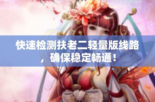 快速检测扶老二轻量版线路，确保稳定畅通！