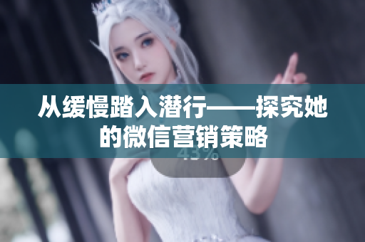 从缓慢踏入潜行——探究她的微信营销策略