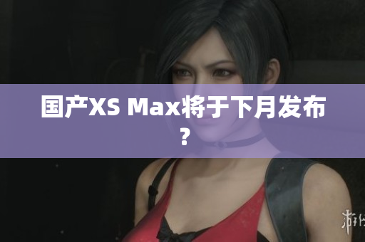 国产XS Max将于下月发布？