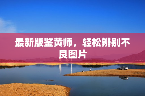 最新版鉴黄师，轻松辨别不良图片