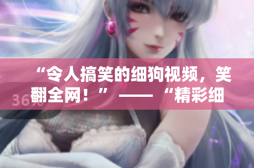 “令人搞笑的细狗视频，笑翻全网！” —— “精彩细狗视频，让你忍俊不禁！”