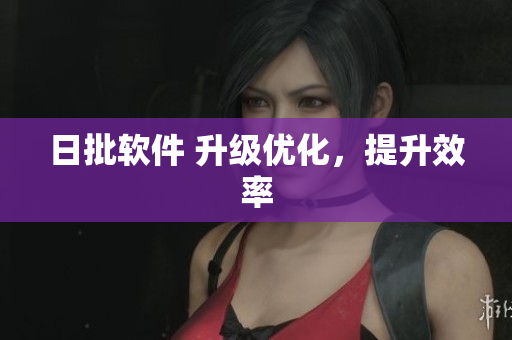 日批软件 升级优化，提升效率