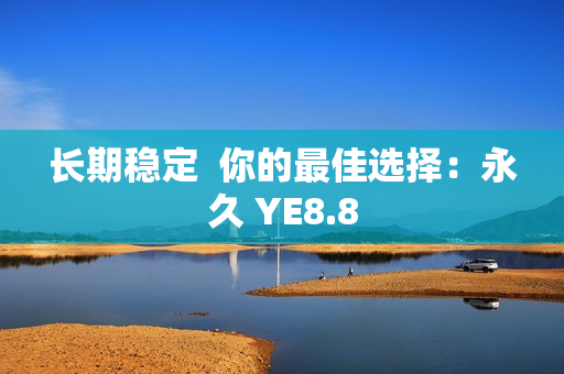 长期稳定  你的最佳选择：永久 YE8.8