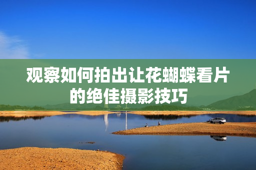 观察如何拍出让花蝴蝶看片的绝佳摄影技巧