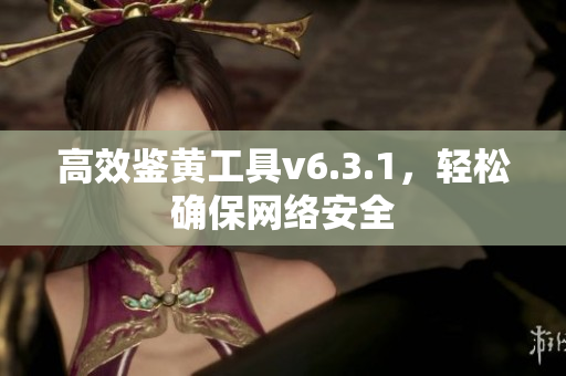 高效鉴黄工具v6.3.1，轻松确保网络安全