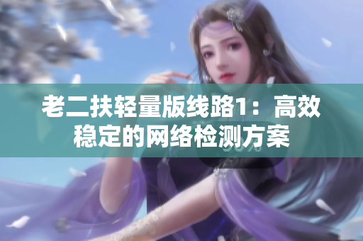 老二扶轻量版线路1：高效稳定的网络检测方案