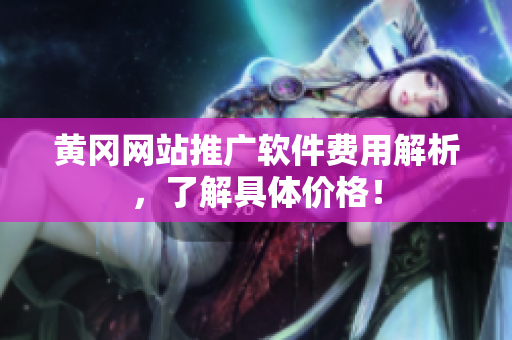 黄冈网站推广软件费用解析，了解具体价格！
