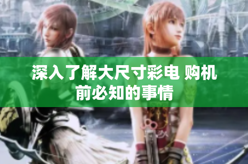 深入了解大尺寸彩电 购机前必知的事情