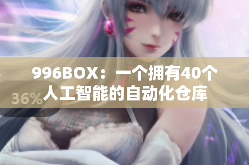 996BOX：一个拥有40个人工智能的自动化仓库